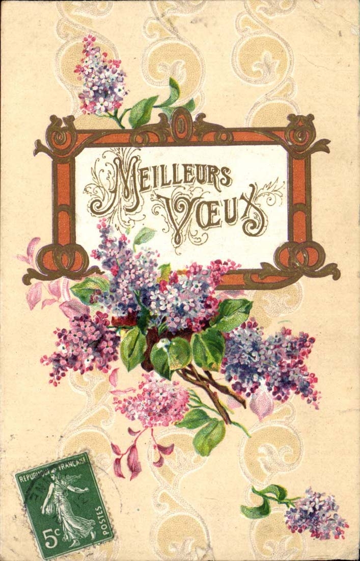 CPA Fantaisie Meilleurs voeux (relief tres belle carte)