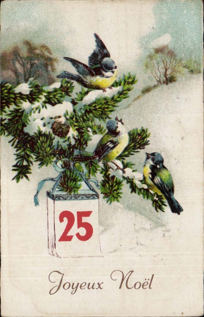 CPA Fantaisie Joyeux noel (oiseaux)