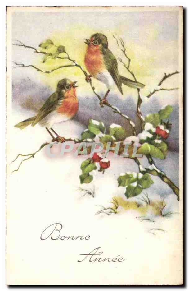 CPA Fantaisie Bonne annee oiseau