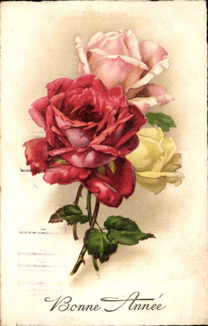 CPA Fantaisie Bonne annee Fleurs