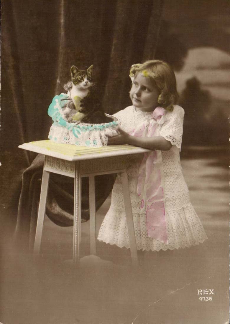 CPA Fantaisie Petite fille au chat (cat KAtze)