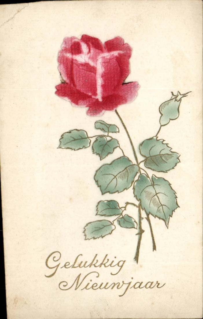 Rose — New Year's Greeting — Unknown Publisher, Series Number Not Visible