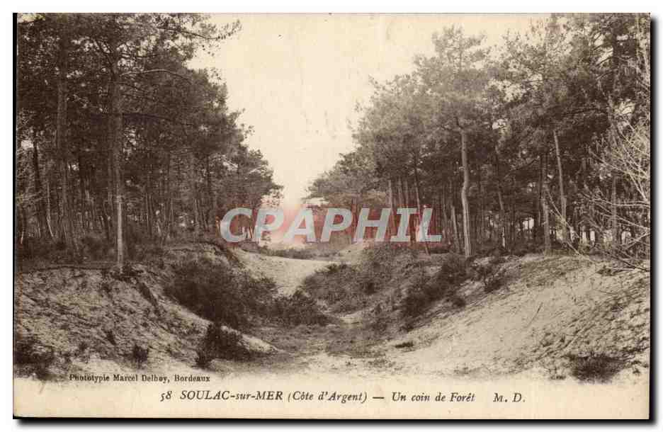 SOULAC-sur-MER (Côte d'Argent) — Un coin de Forêt — Phototypie Marcel Delbay, Bordeaux, n°58