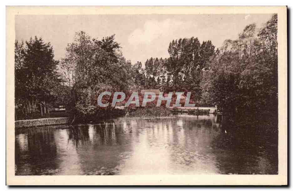 River Landscape Framed by Trees — Éditions L. Devaux-Archchoa