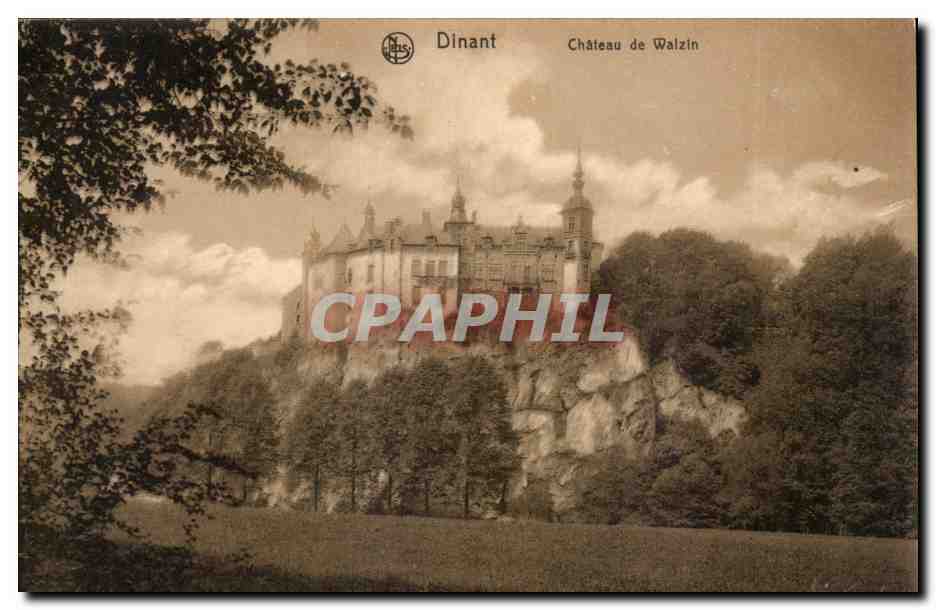 Belgique - Belgien - Belgium - Dinant - Chateau de Walzin - CPA 