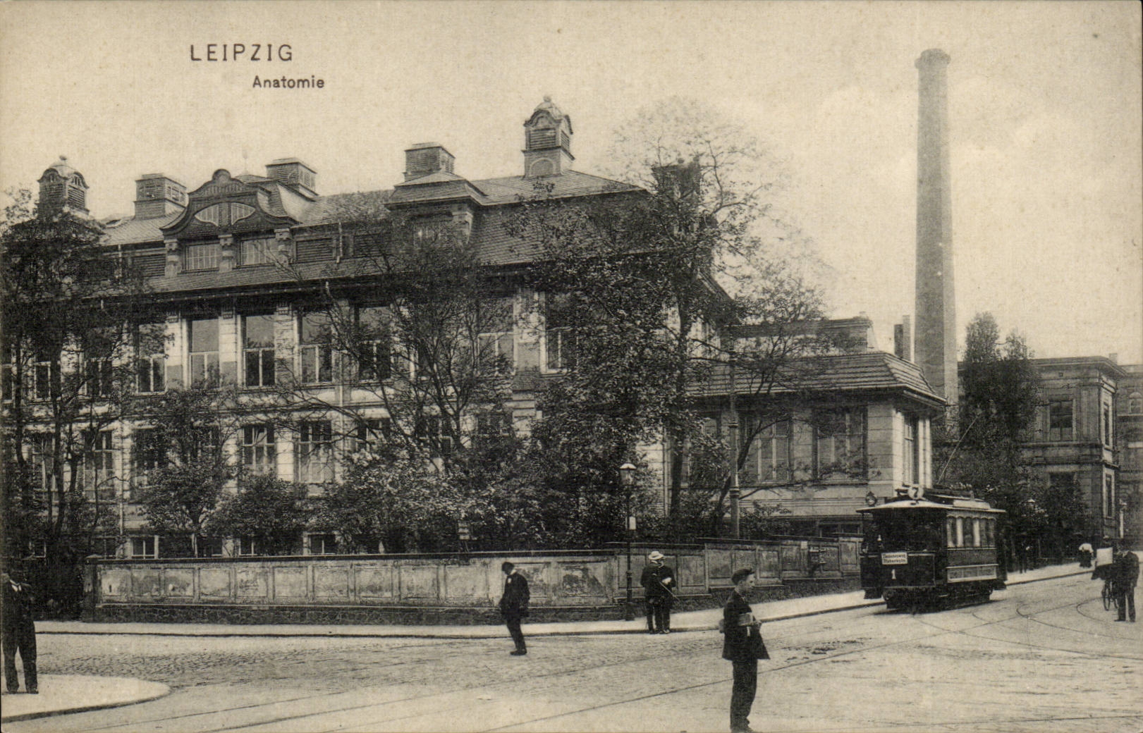 Leipzig — Anatomie — Dr. Trenkler Co. n° 648