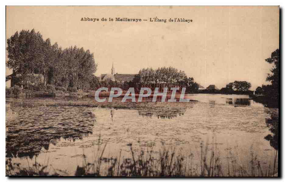 CPA Abbaye de Meilleraye L'etang de l'abbaye
