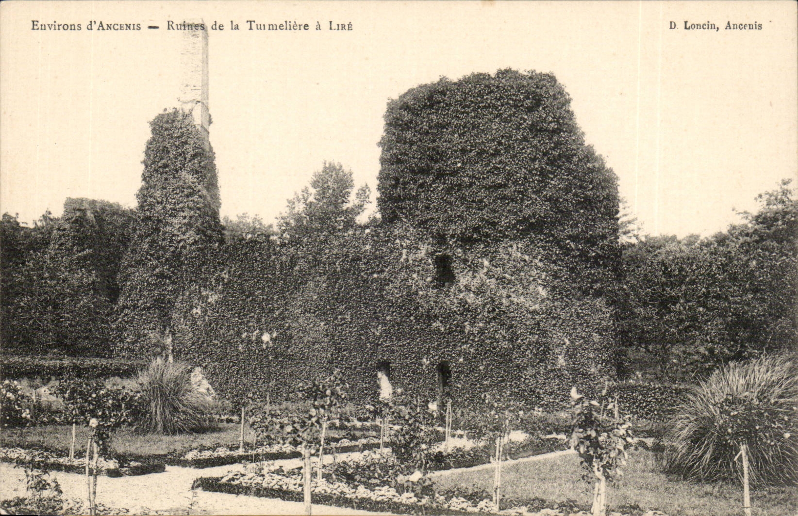 Environs d'Ancenis CPA Ruines de la Tumeliere a Lire (Joachim du Bellay)