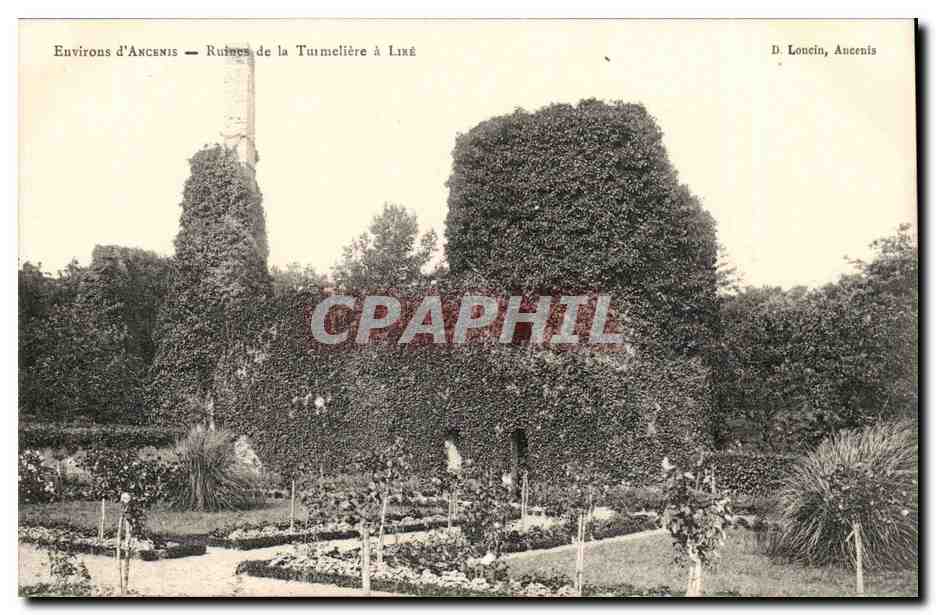 Environs d'Ancenis CPA Ruines de la Turmeliere a Lire (du Bellay)