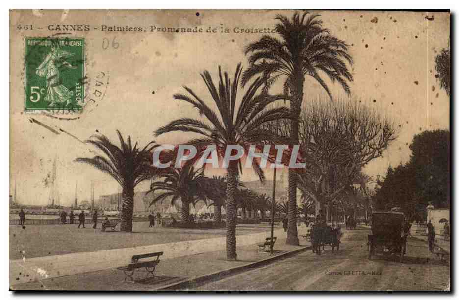 Cannes CPA Palmiers Promenade de la CRoisette