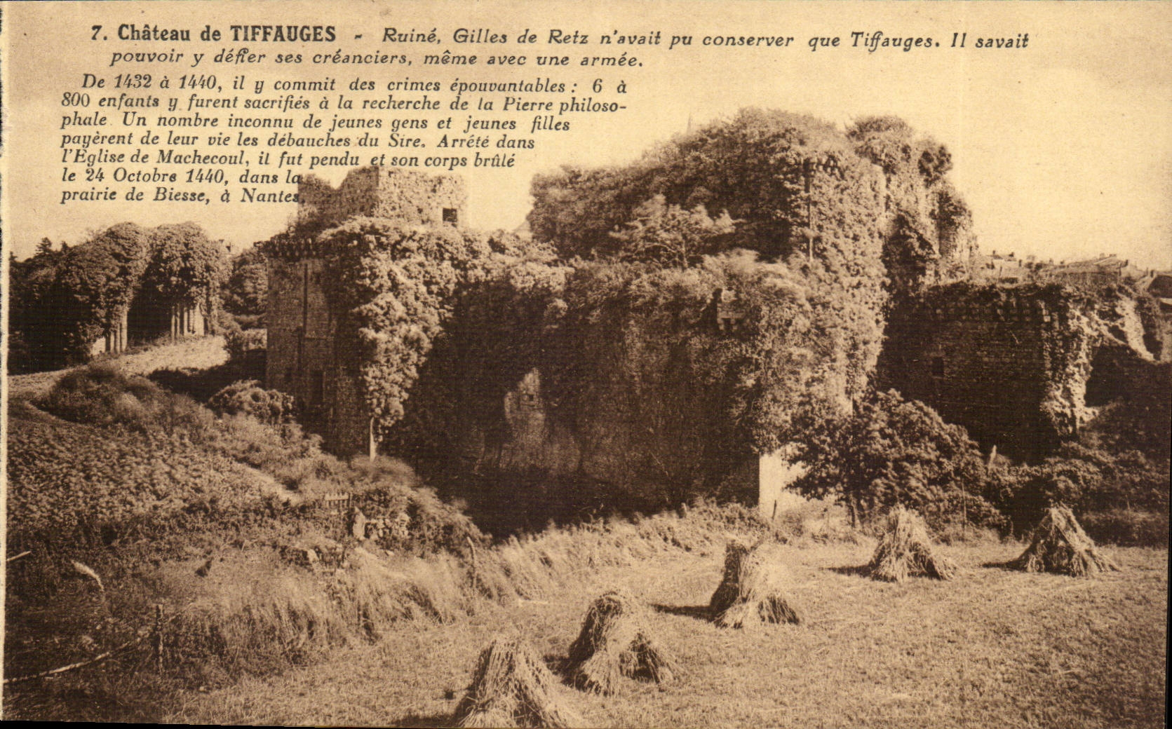 Château de Tiffauges — Ruine — Édition Delosson - Clisson