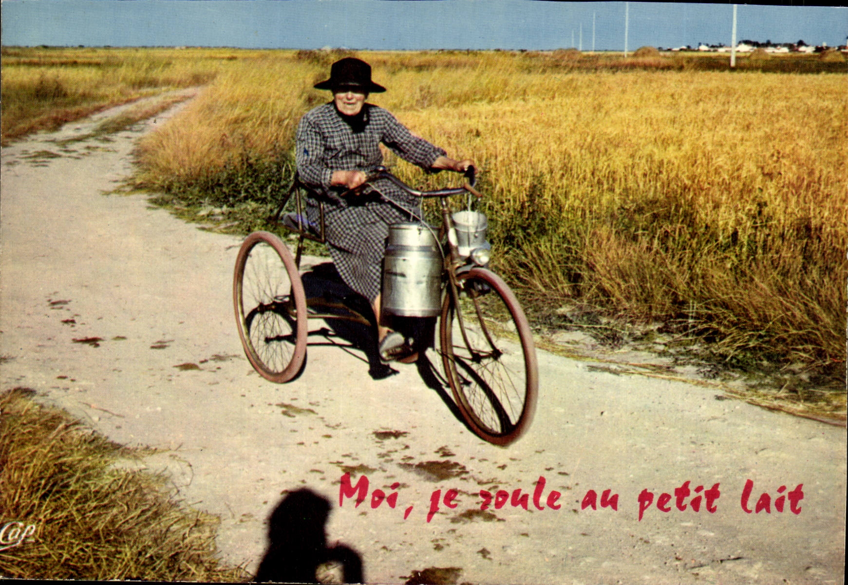 CPM Humour Moi je roule au petit lait (velo)