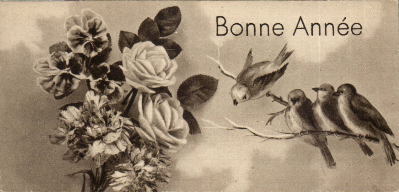 CPA Fantaise Enfant Bonne annee (carte petit format) (oiseaux)
