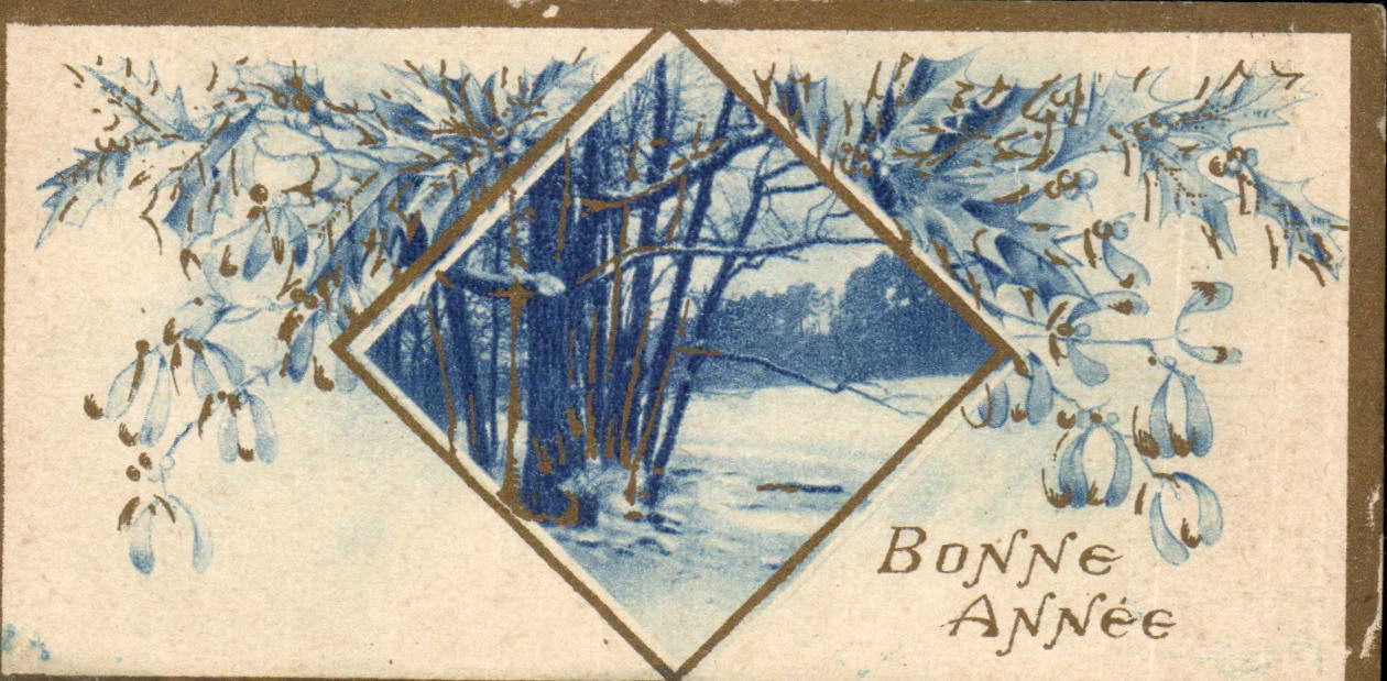 CPA Fantaise Bonne annee (carte petit format) 