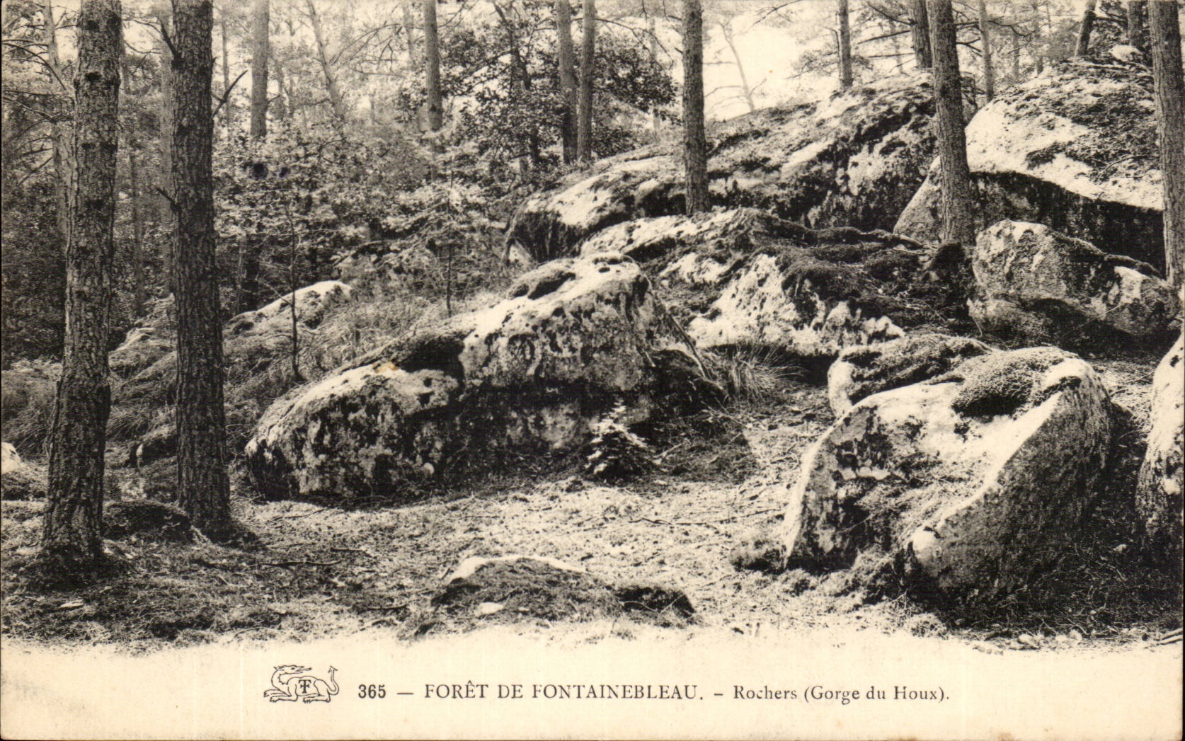 Forêt de Fontainebleau — Felsen (Gorge du Houx) — n° 365