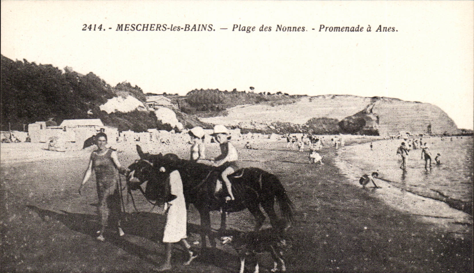 Meschers les bains CPA plage des nonnes Promenade a anes (ane donkey)
