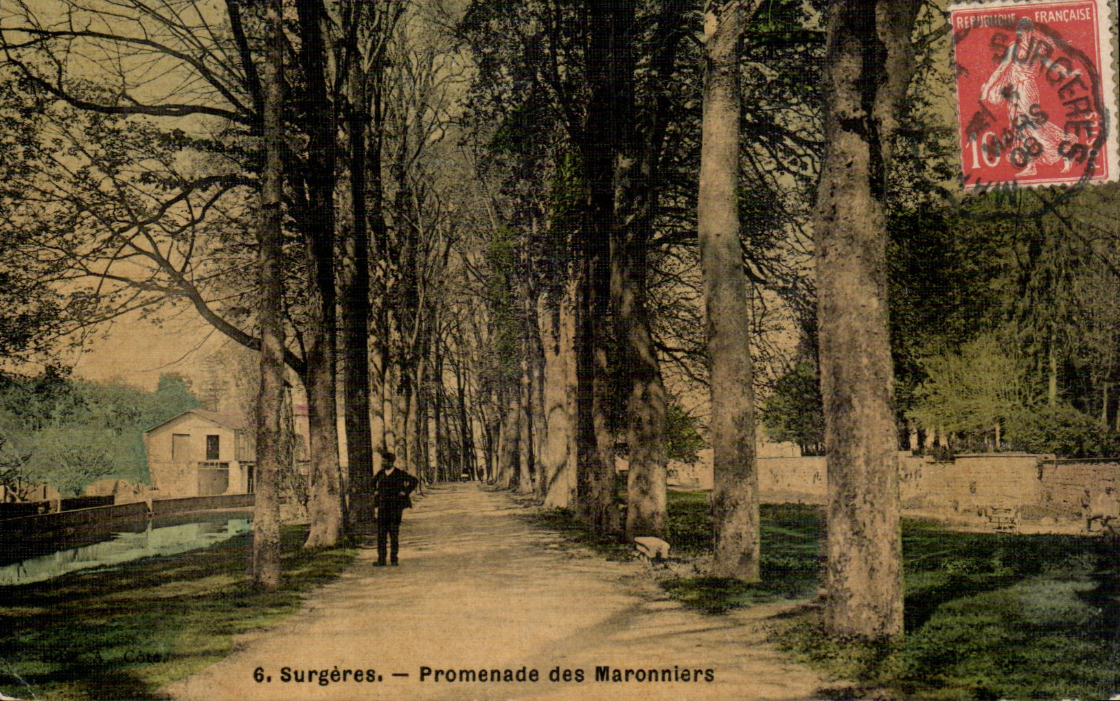 Surgeres CPA promenade des marronniers