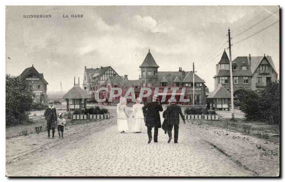Belgie Belgique Duinbergen CPA La gare