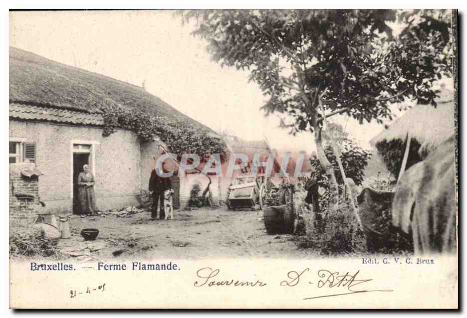 Belgie Belgique Bruxelles CPA Ferme flamande