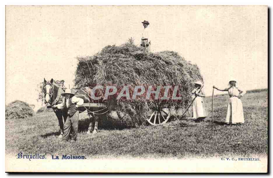 Belgique Belgie Bruxelles CPA La moisson Agriculture Paysans TOP