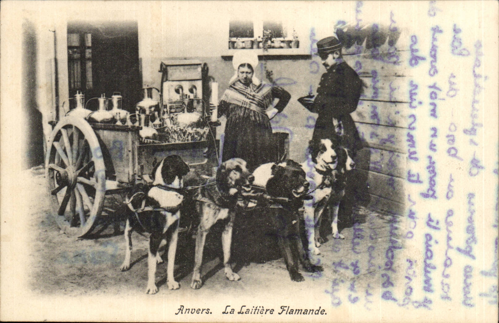 Belgique Belgie Anvers CPA La laitiere flamande