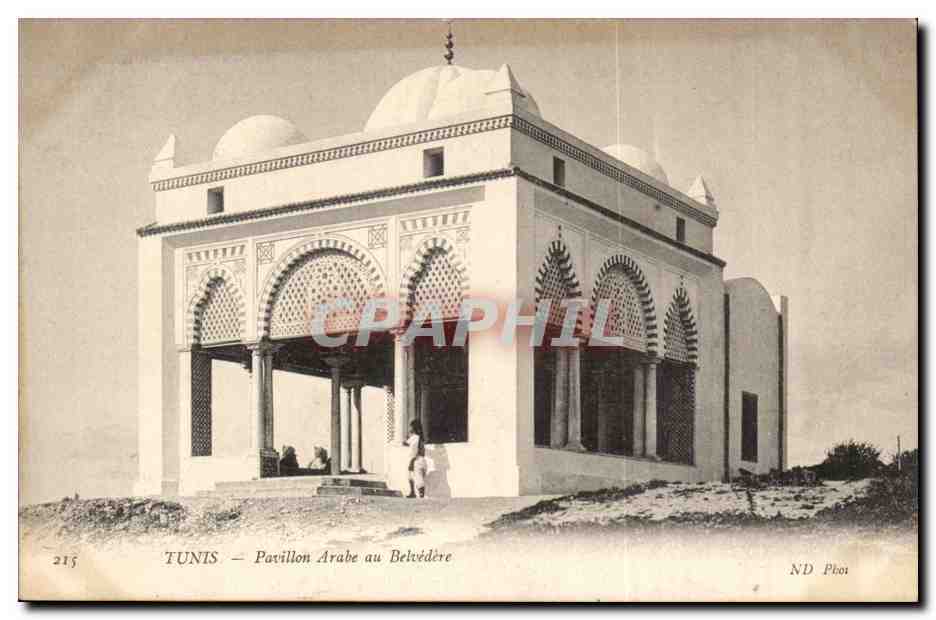 Tunisie Tunis CPA Pavillon arabe du belvedere