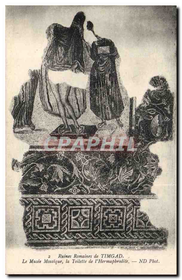 Algerie CPA Ruines romaines de Timgad Le musee mosaique la toilette de l'hermaphrodite