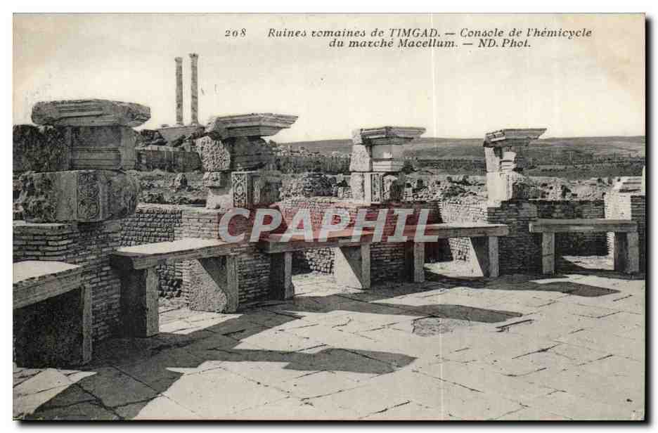 Algerie CPA Ruines romaines de Timgad Console de l'hemicycle du marche Macellum