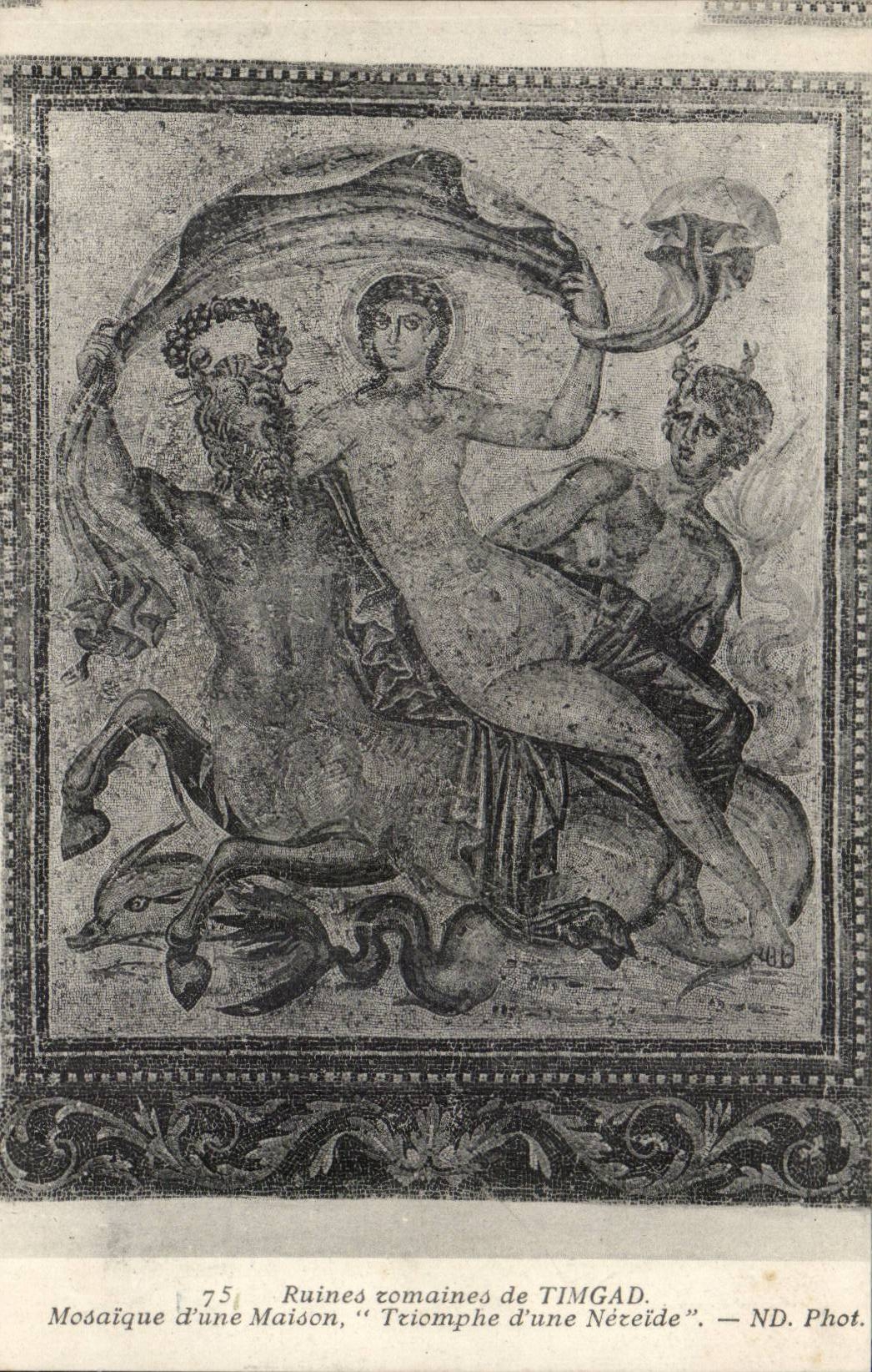 Algerie Ruines romaines de Timgad CPA Mosaique d'une maison Triomphe d'une Nereide