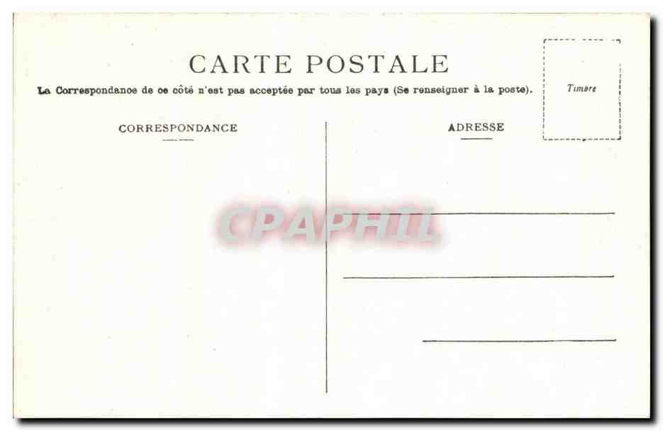 Algerie CPA Flore algerienne Aloes en fleurs — Rückseite