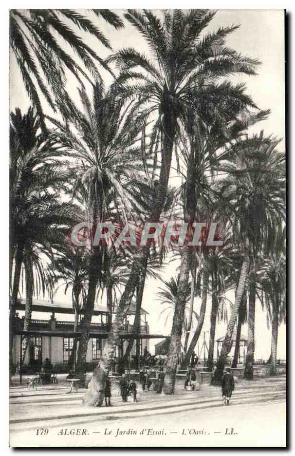 Alger — Le Jardin d'Essai — L'Oasis — LL. — n° 179