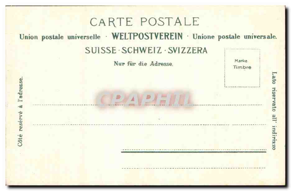 Suisse CPA Edelweiss Leontopodium alpinum — Rückseite