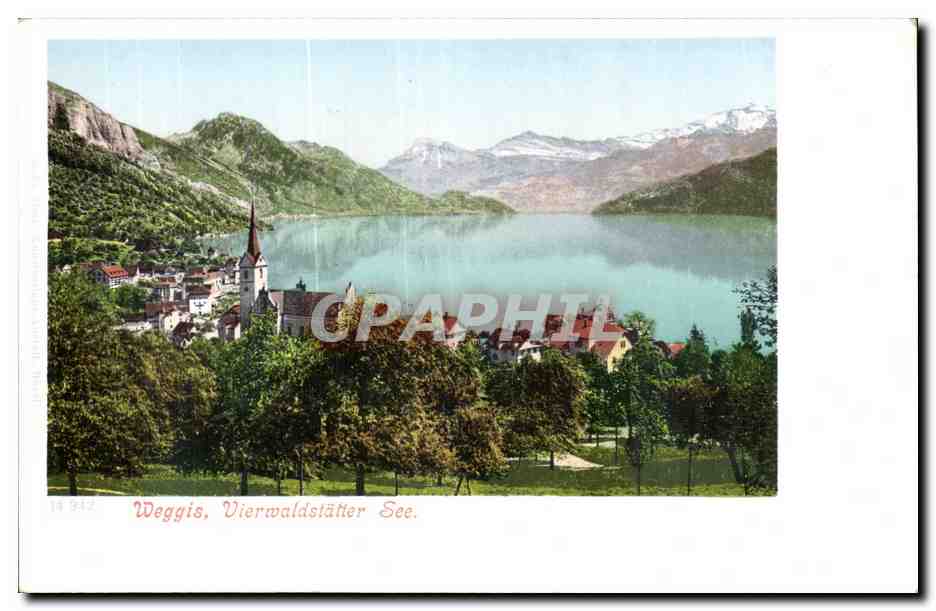 Suisse CPA Weggis Vierwaldstatter See