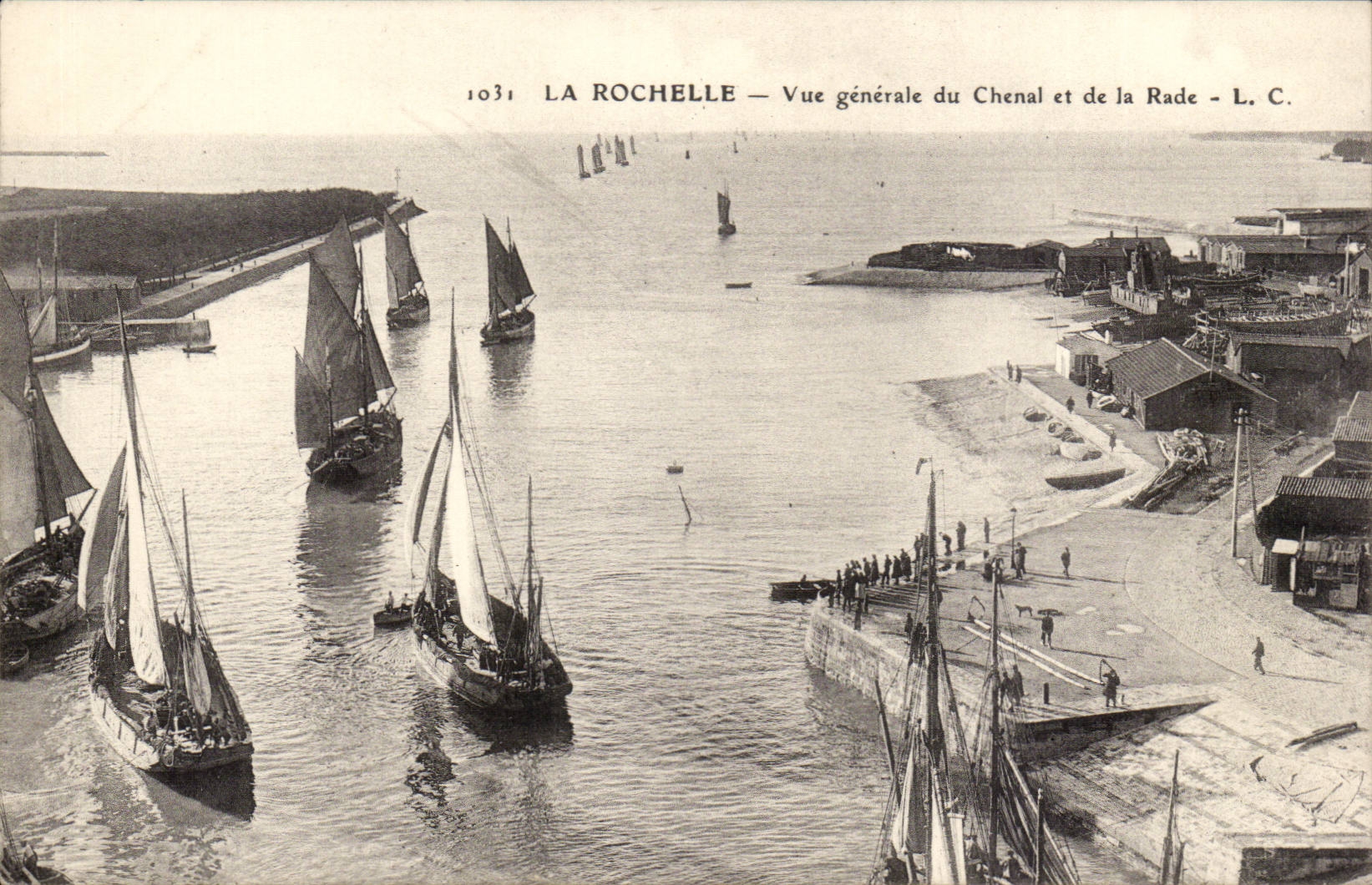 La Rochelle — Vue générale du Chenal et de la Rade — L.C. — n° 1031