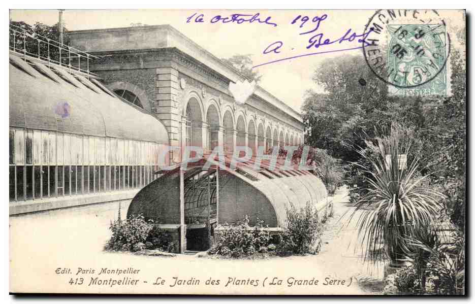 Montpellier - Le jardin des Plantes - La Grande Serre - 1909 - CPA 