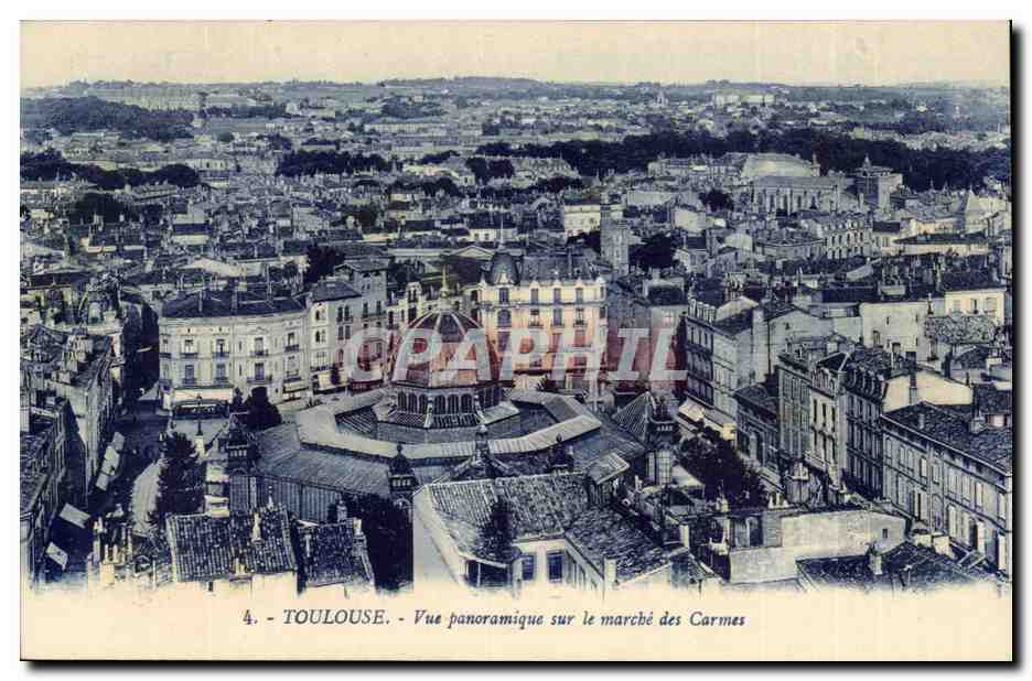 Toulouse CPA Vue panoramique sur le marche des CArmes