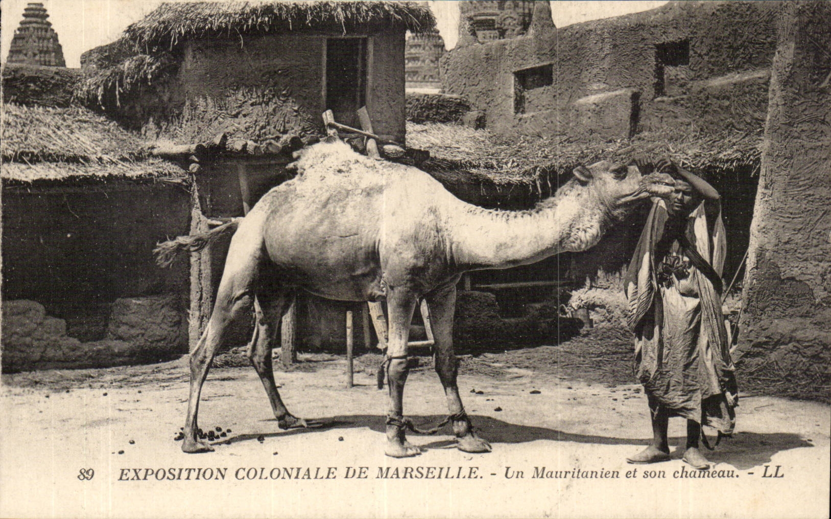Exposition Coloniale de Marseille — Un Mauritanien et son chameau — LL