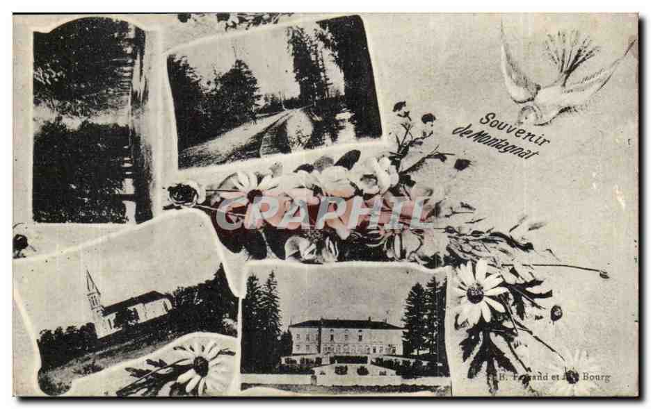 CPA Souvenir de Montagnat (colombe)