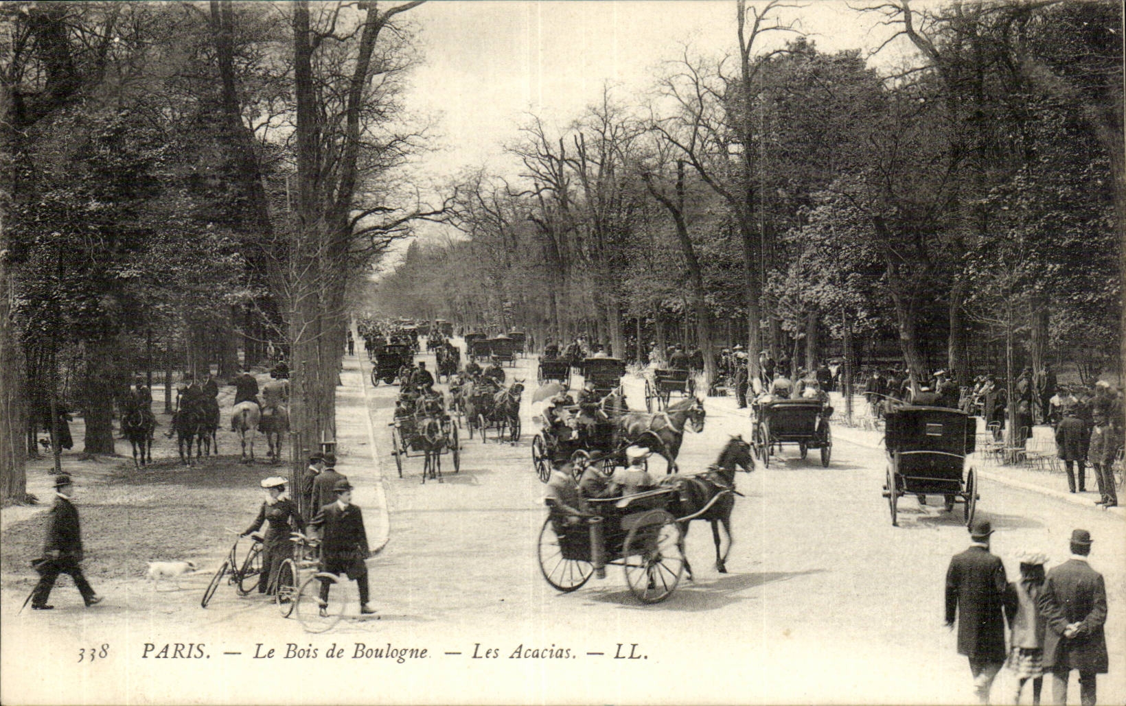 Paris — Le Bois de Boulogne — Les Acacias — LL. — n° 338