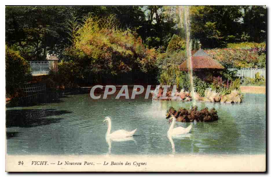 Vichy CPA Le nouveau parc Le bassin des cygnes (swan)