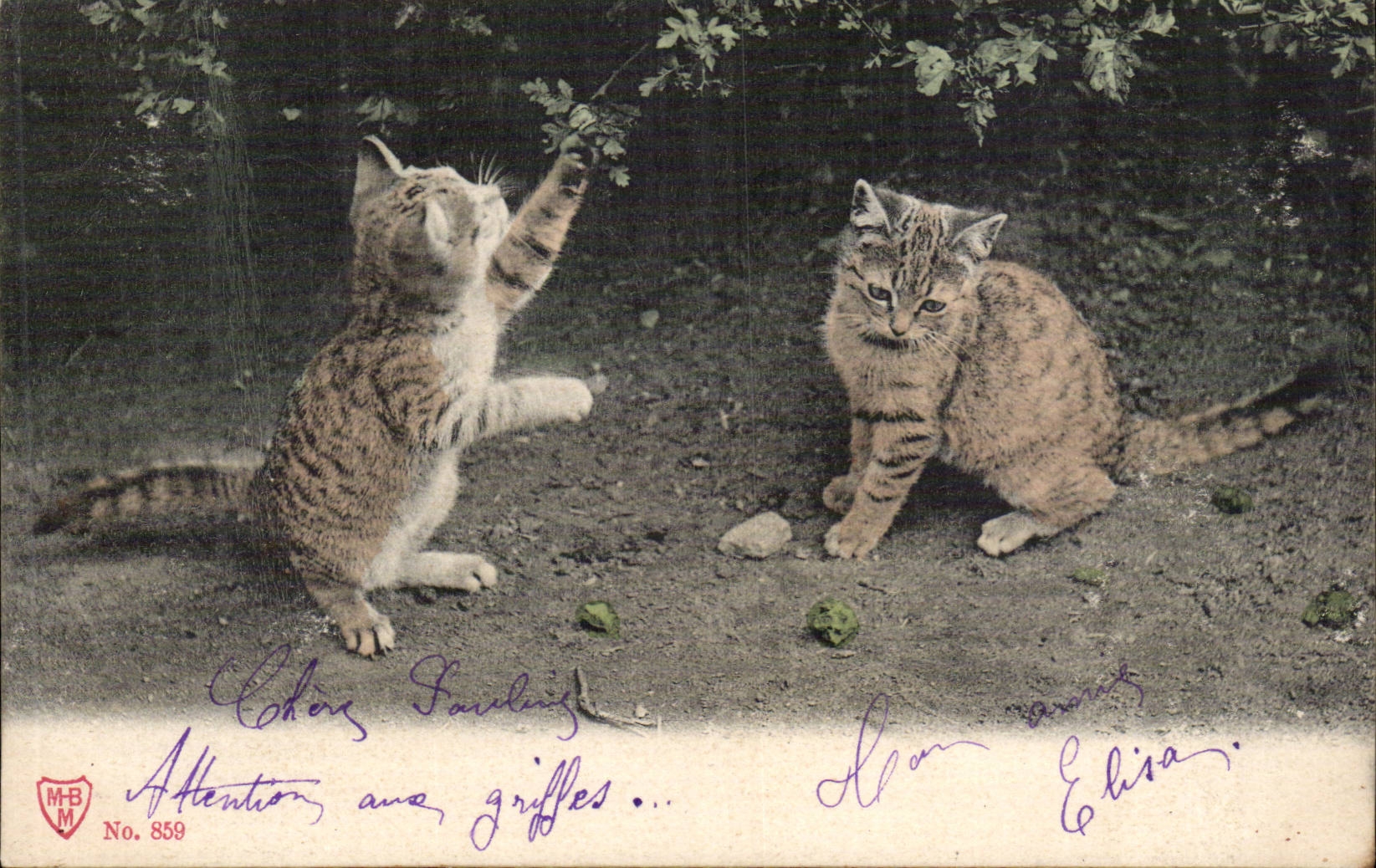 CPA Fantaisie Chats Cats