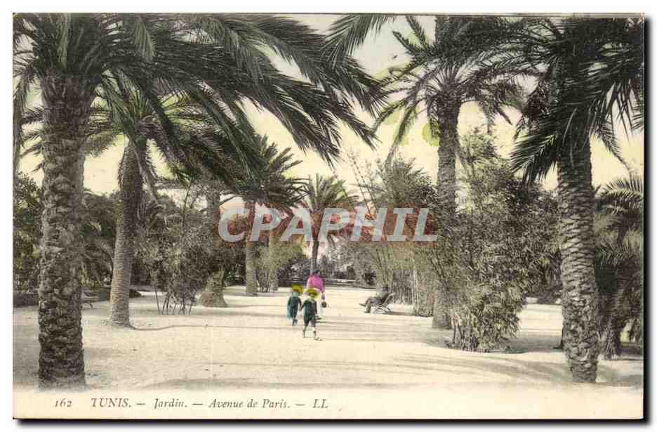 Tunisie Tunis CPA Jardin Avenue de Paris