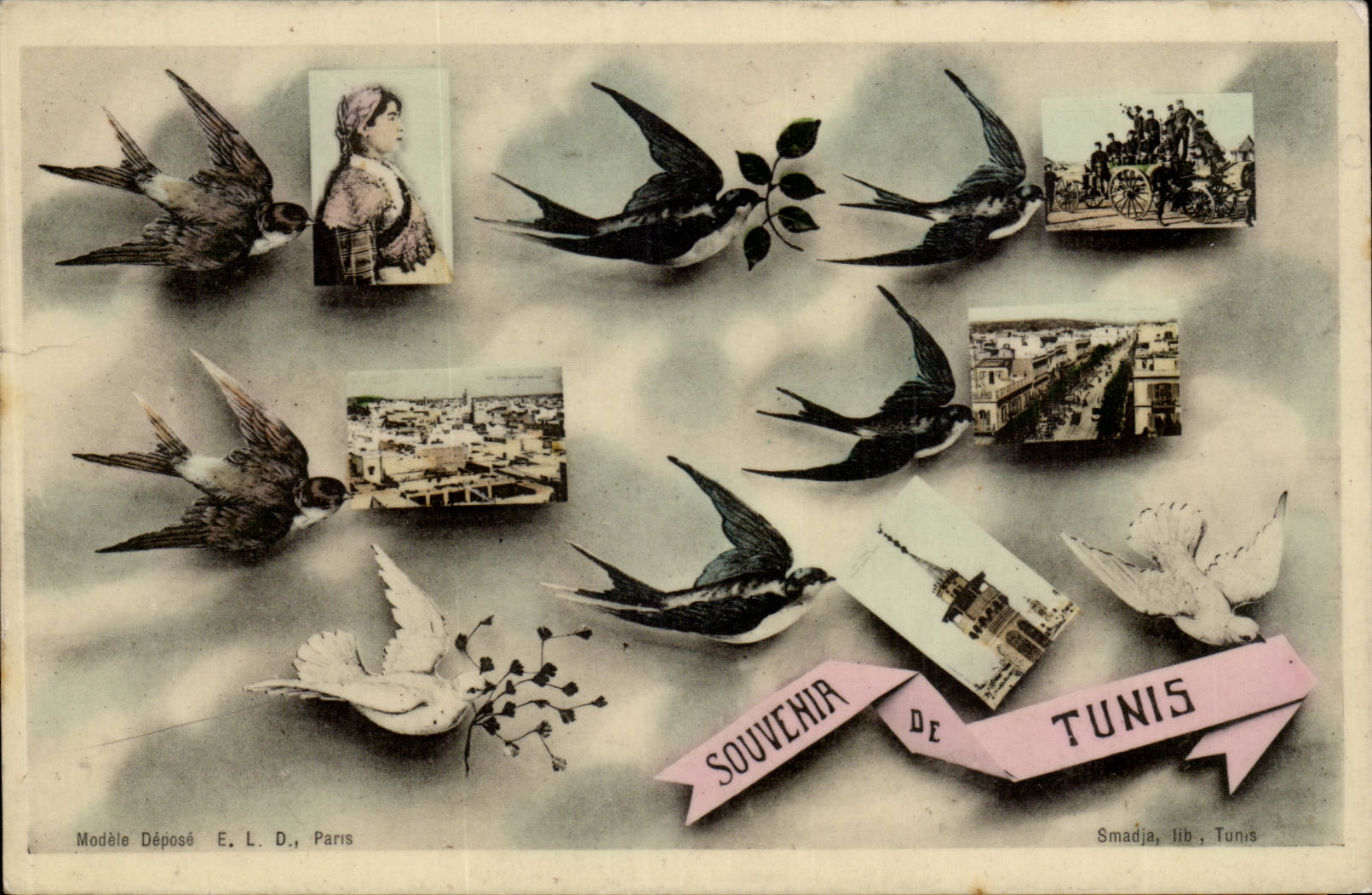 Tunisie Tunis CPA Souvenir hirondelle