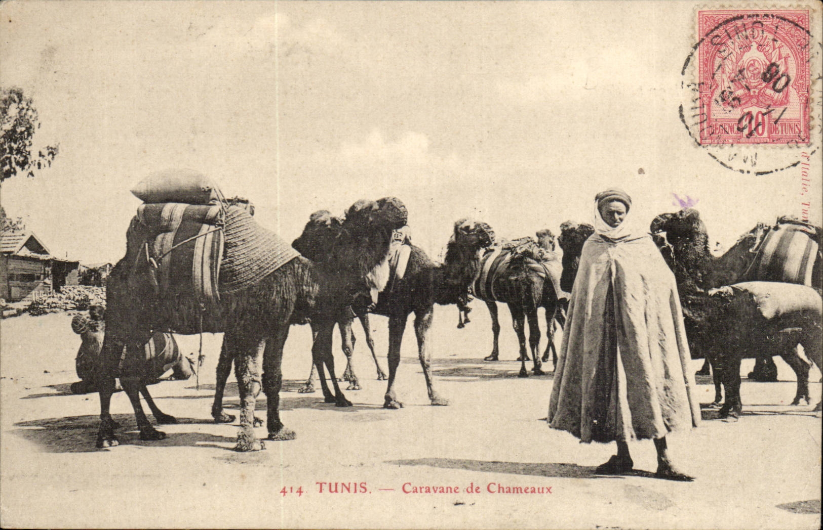 Tunisie Tunis CPA Caravane de chameaux (camel)