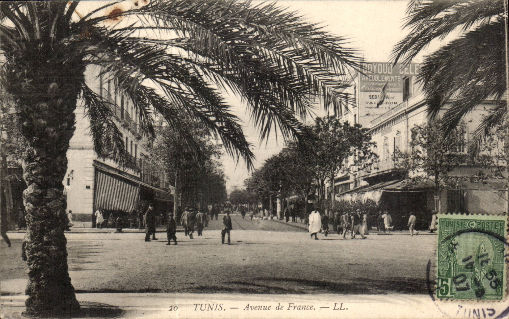 Tunisie Tunis CPA Avenue de France