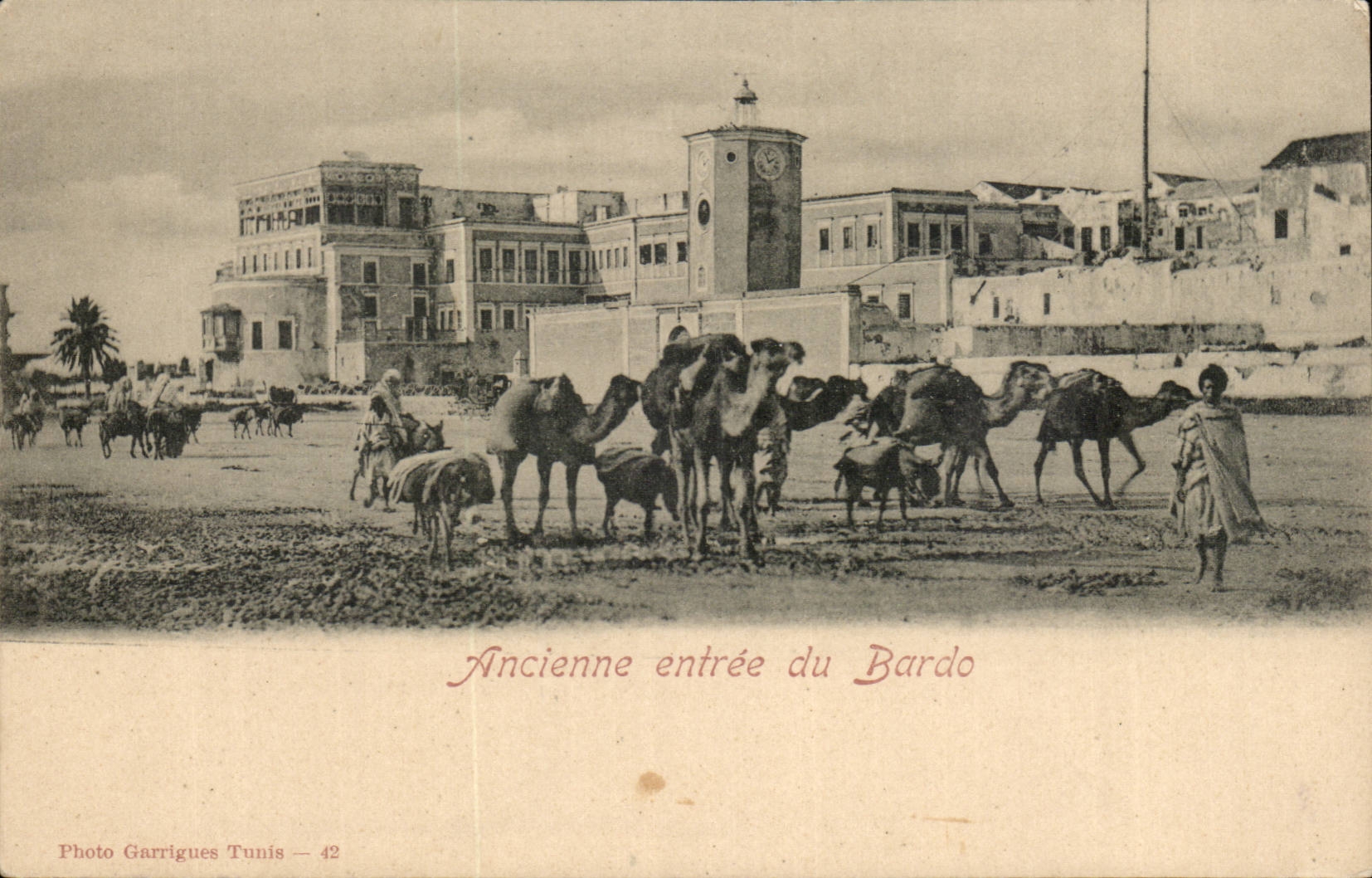 Tunisie Tunis CPA Ancienne entree du Bardo (chameaux camel)