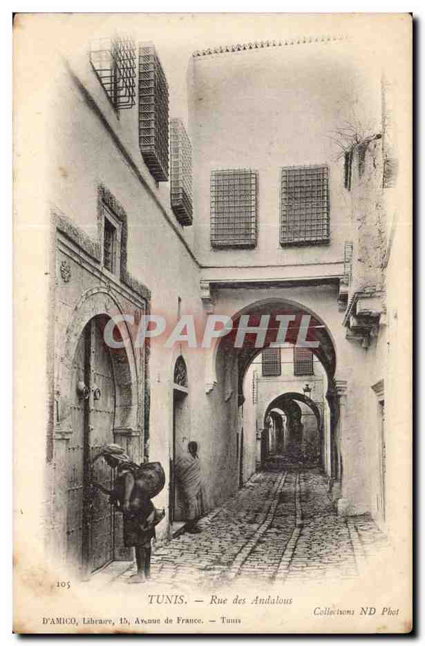 Tunisie Tunis CPA Rue des Andalous