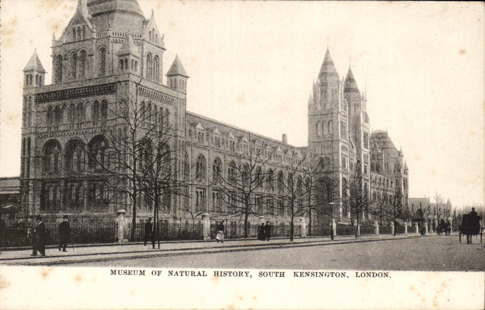 Grande Bretagne CPA London Londres Museum of Natural History South kensington 