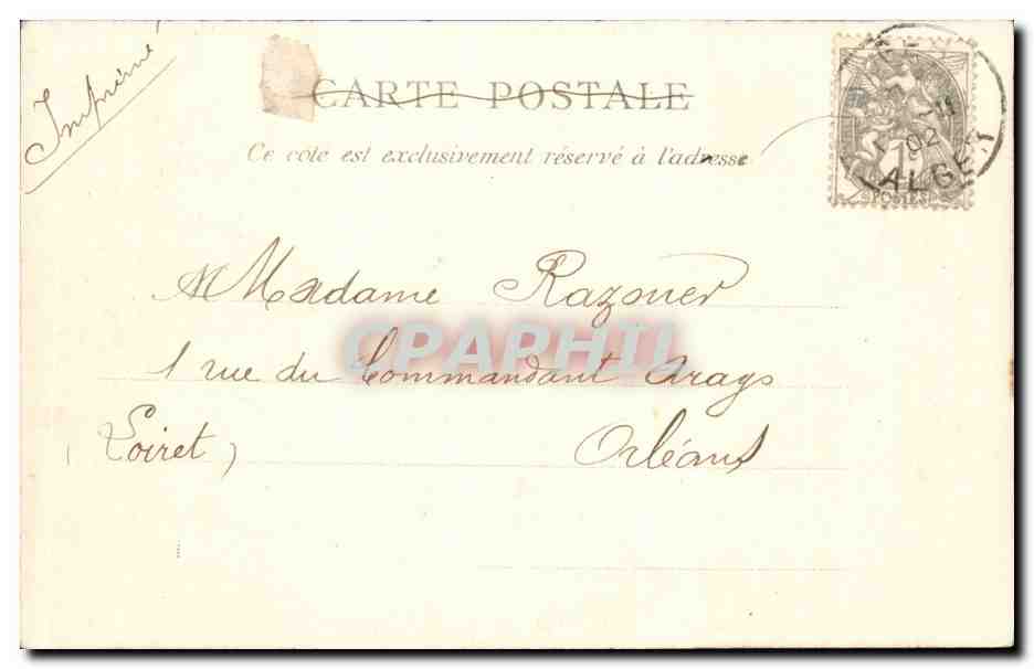 ALGER — Jardin d'Essais — Allée des Caoutchoucs — Collection Idéale n°70 — Verso
