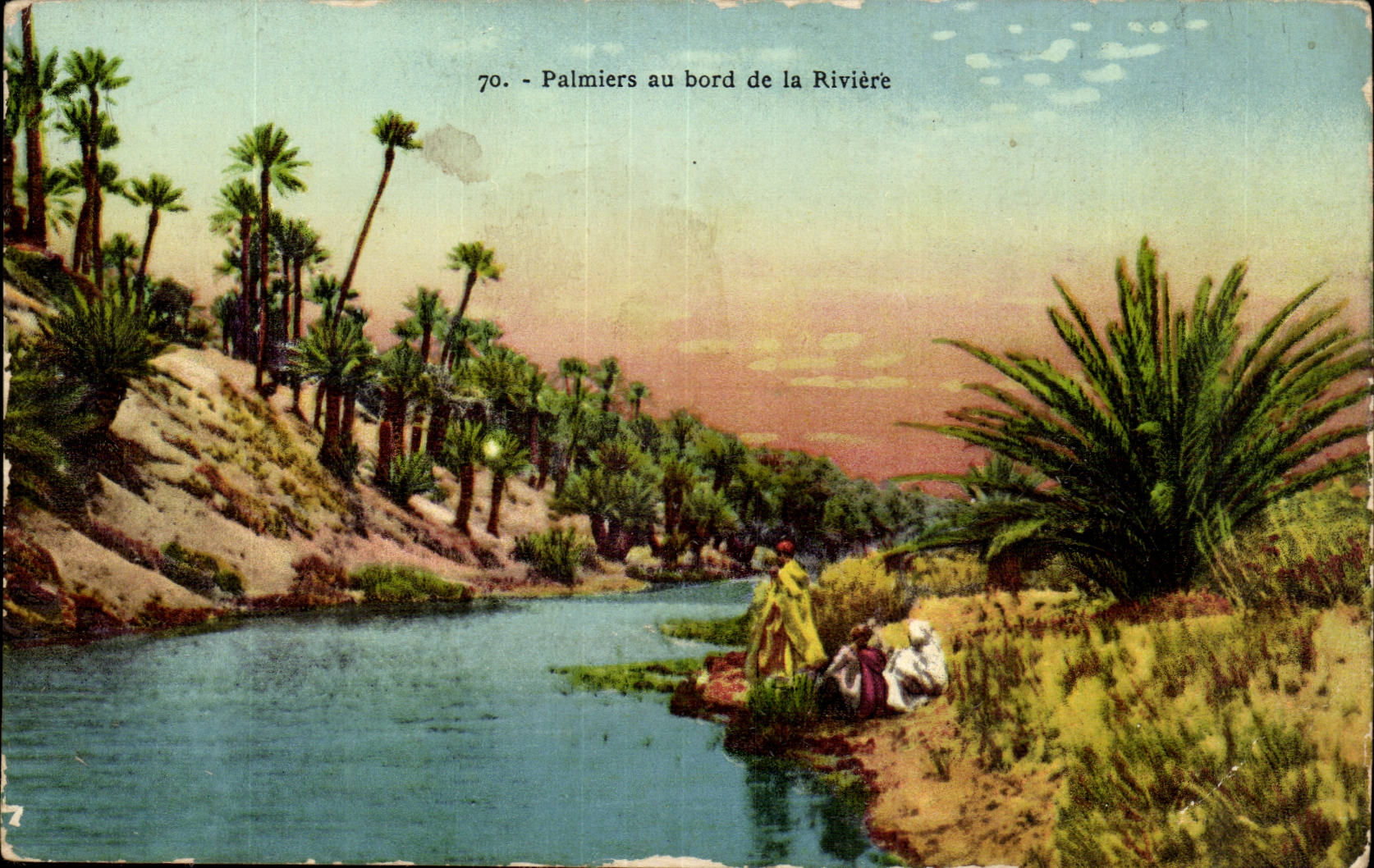 Algerie CPA Palmiers au bord de la riviere